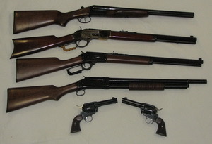 CAS Firearms